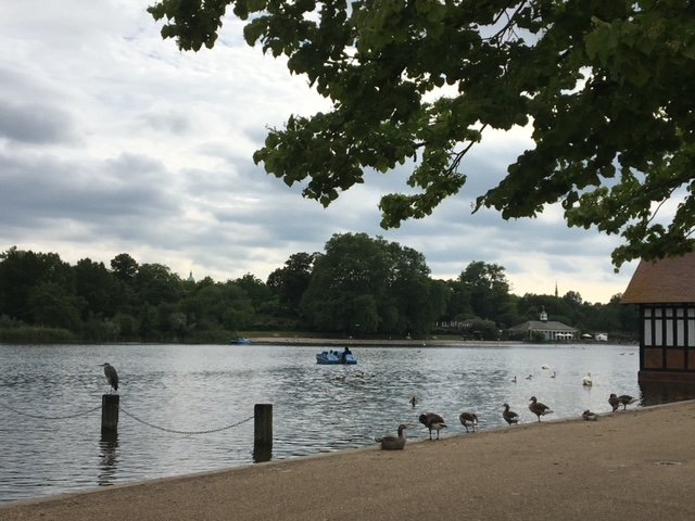 Hyde Park